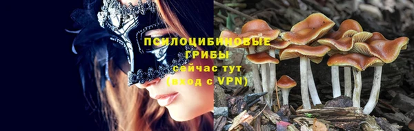 прущие грибы Баксан