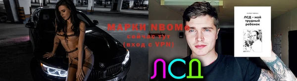 прущие грибы Баксан