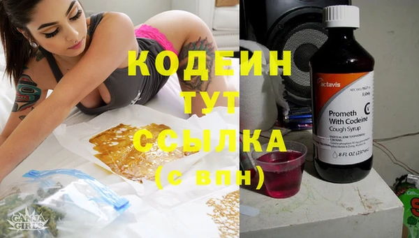 прущие грибы Баксан