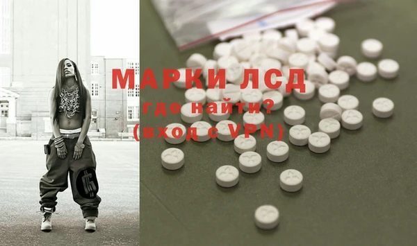 прущие грибы Баксан