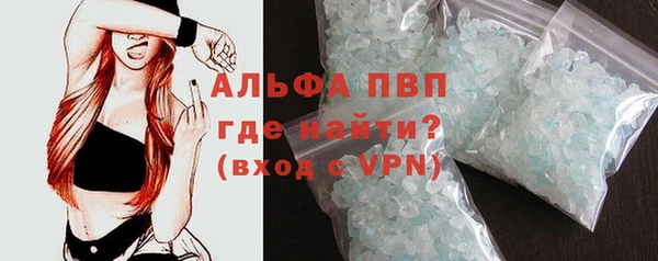 прущие грибы Баксан
